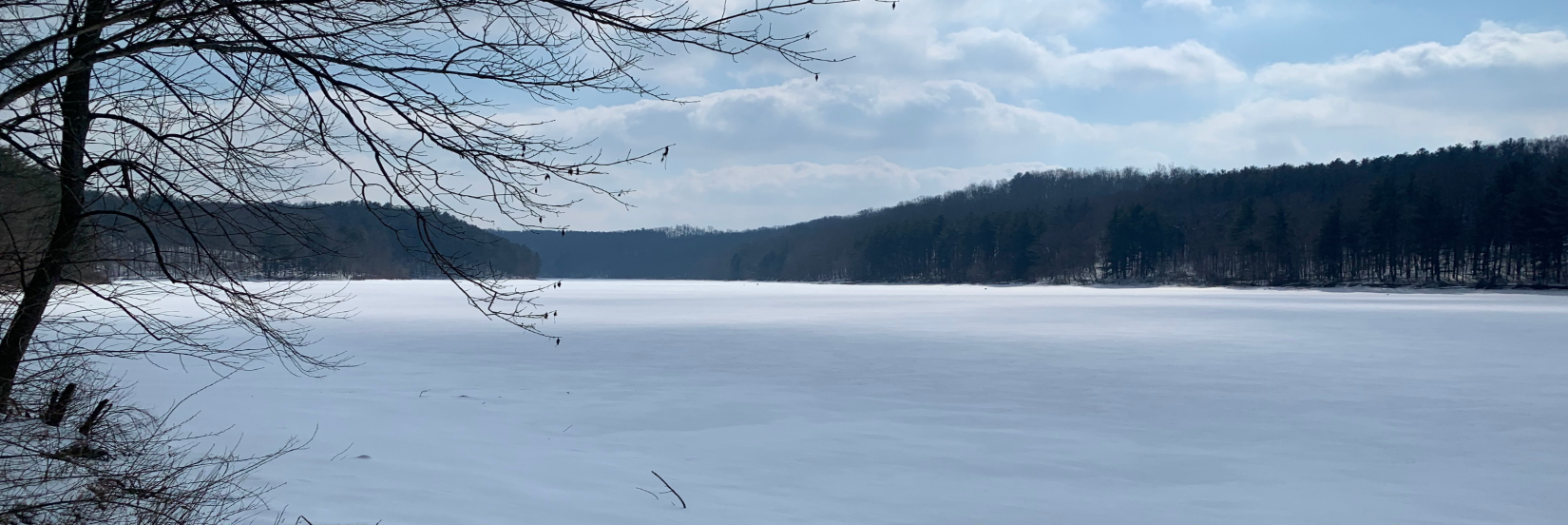 frozen Atwood Lake Park